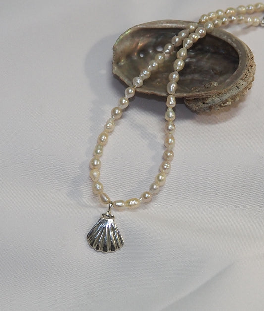 Seashell pearl necklace