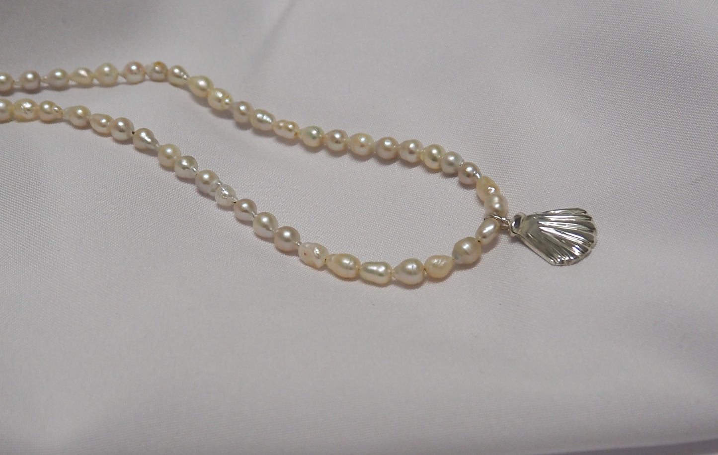Seashell pearl necklace