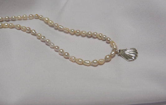 Seashell pearl necklace